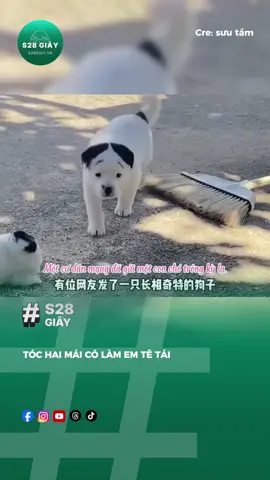 So handsome #s28s #fyp 