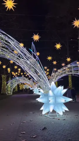 Дед Мороз Сергей Галицкий зажег улицу Красная 🎄 Вперед, дорогие друзья - на прогулку! При наступлении Нового года, Краснодар обретает второе дыхание 😍