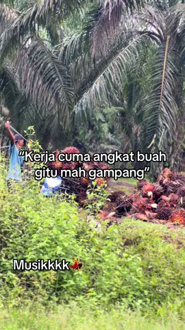 #sawit #sawitbalap #sawitontiktok #fyp 