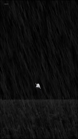 #التخطي #سندك_هو_الله #اعتذر_لنفسي #هدوء 