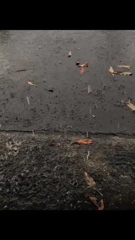 tinggalkan pesan sebelum desember berakhir?