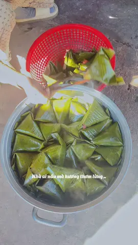 #CapCut nôn Tết lắm rồi..#xuhuong #longan_62 #nhactetcangnhat2025 