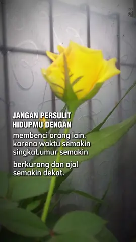 #CapCut #nasehat diri#realita hidup#