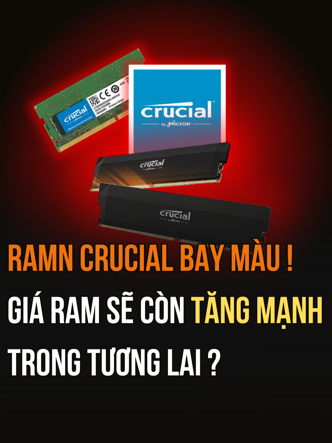 Giá RAM và SSD sẽ còn tăng mạnh vì Crucial và Micron... #tinhochungphat #PC #crucial #LearnOnTikTok #RAM #SSD