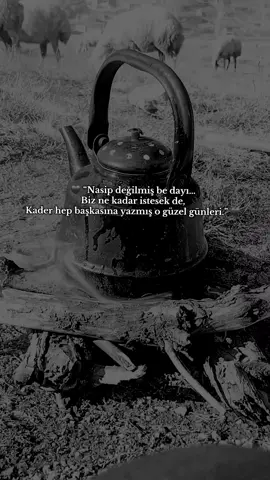 N A S İ P. D E Ğ İ L M İ Ş #bozkoyun #bozkoyunsevdalıları #kangalkoyun #kangaltr🇹🇷🇹🇷🇹🇷 #emek 