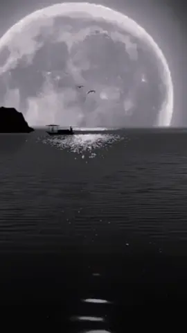 #CapCut #fyp_viral_tiktok #EkspresikanDenganCapCut #viral_video_tiktok #capcut_edit 