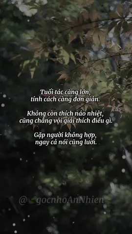 #annhien #chualanh #healing #donglucsong #gocNhoAnNhien 