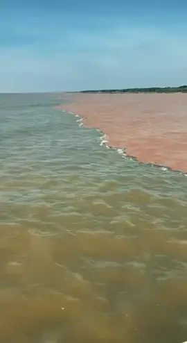 Hiện tượng nước biển chia làm 2 màu ở khu vực hòn đá bạc tỉnh Cà Mau #camau  #mientay  #hondabaccamau 