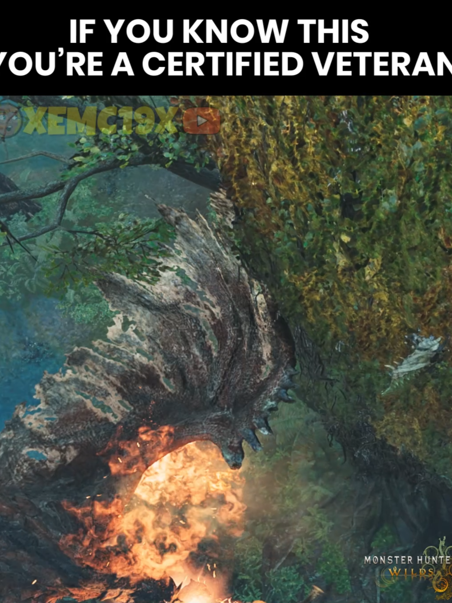 If you recognize this, you’re a true veteran hunter 😎😂 #MonsterHunter #MonsterHunterWilds #MHWilds