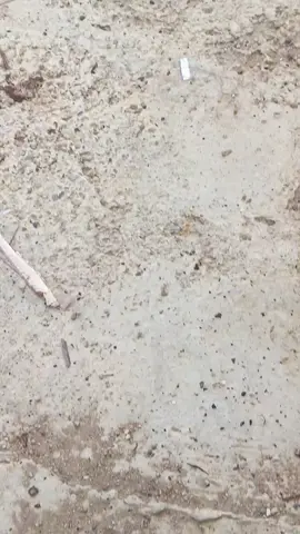 sess🤩#karisma125  #kphgank🚀 #karismatik 