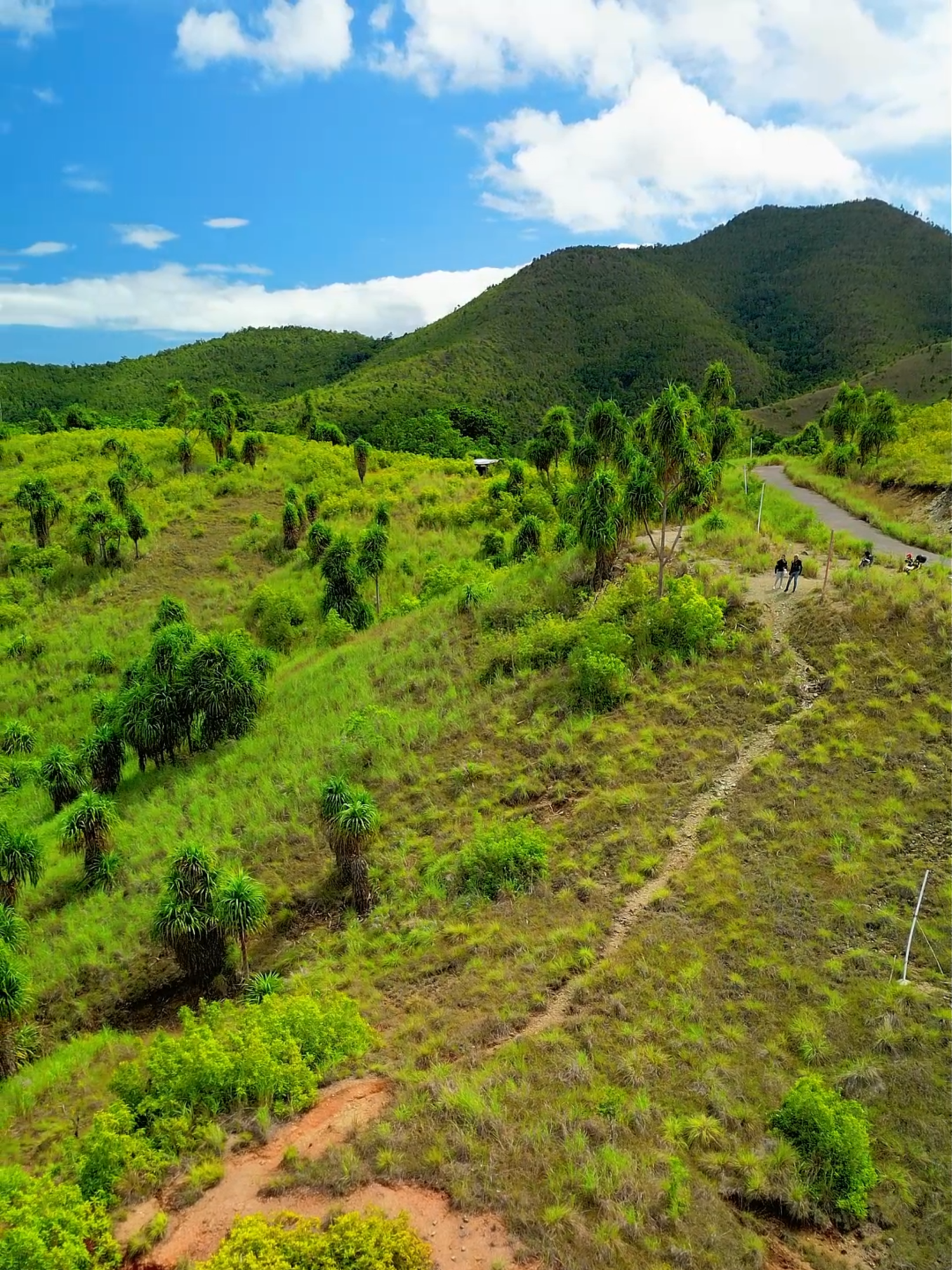 Pulau Seram - Maluku - Indonesia #orabeach #pantaiora #tebinghatupia #waesala