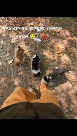 mention koren Tara Tari 😆🕷️ #tiktok #foryou #bdthiktokofficial🇧🇩 