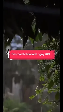 🌧️ Postcard chữa lành – Ngày 4 🇯🇵 — Một góc nhỏ bình yên dành cho bạn. Nếu hôm nay bạn cảm thấy hơi mệt, hơi chênh vênh… Thì đoạn postcard nhỏ này là để nhắc bạn rằng: 🌿 Bạn đã cố gắng rất nhiều rồi. 🌧️ Cứ chậm lại một chút cũng không sao. Dù trời có mưa, tâm mình vẫn có thể an yên… nếu cho phép nó nghỉ ngơi. 👉 Hãy xem như đây là tấm postcard Shinrai gửi tặng bạn – Một khoảnh khắc thật nhẹ để trái tim được thở. 💬 Bạn muốn mình làm thêm postcard với câu nào không? #Postcard#PostcardChữaLành #Chualanh #MotChutBinhYen  #HealingVibes