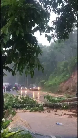 tanah longsor jln Wonosobo purworejo BOTO sapuran wonosobo#wonosobo24jam 