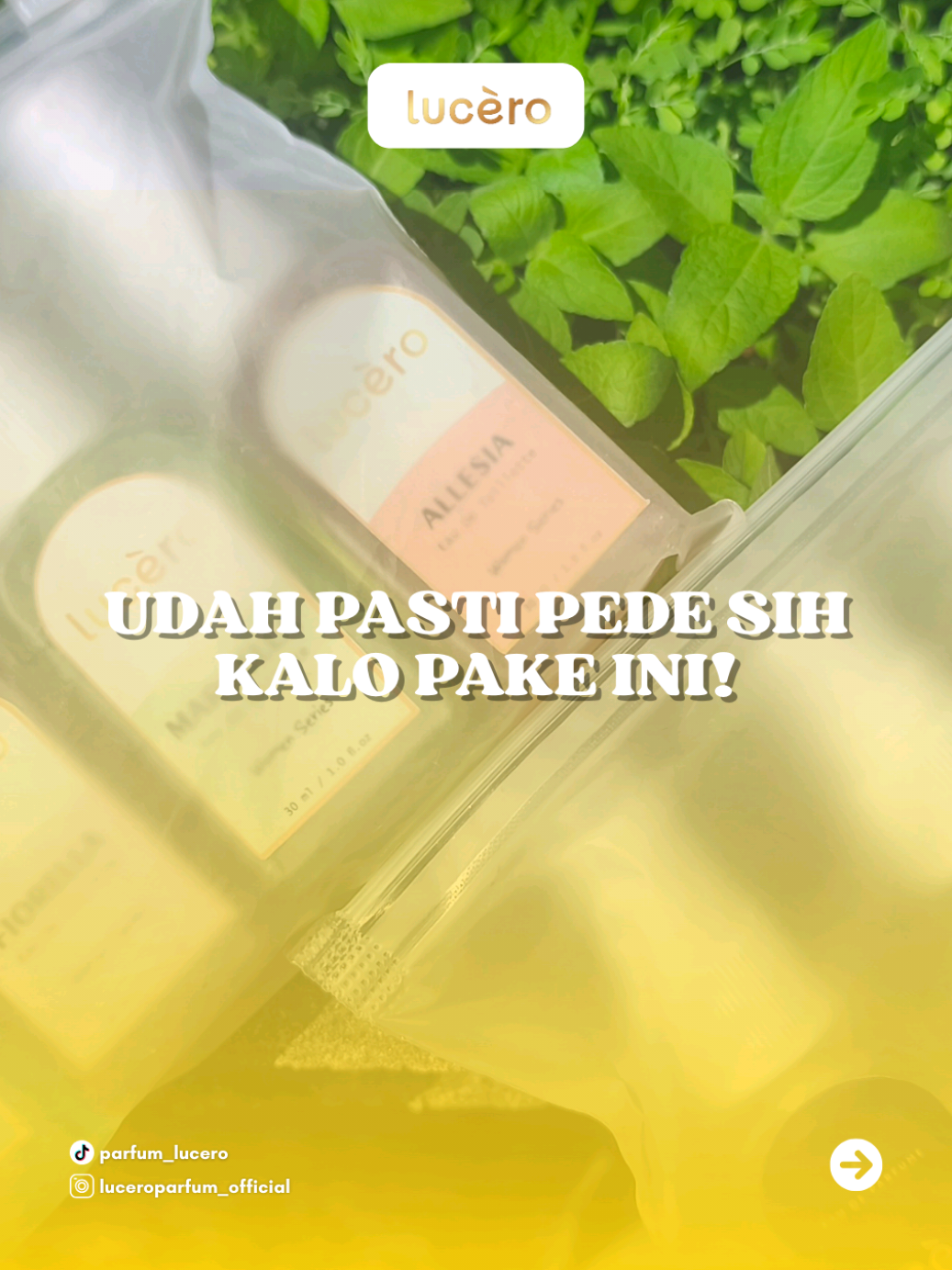 Soalnya cewek-cewek udah pasti luluh 😩 Mana harganya murah banget lagii, cuma Rp19.999 buy one get 5‼️‼️ #parfumviral #parfum #luceroparfum #viral #fyp 