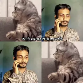 আমি বাংলার জন্য ১চেপেছি #outfit #foryou #vairal #fbyツforyou🤍🦋 #500kviews 