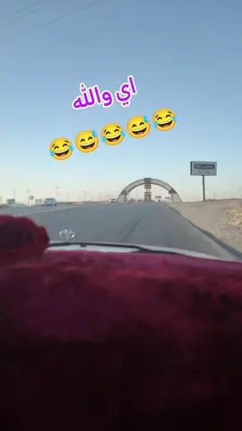 #شعب_الصيني_ماله_حل😂😂 #تصويري_احترافي_الاجواء👌🏻🕊😴 