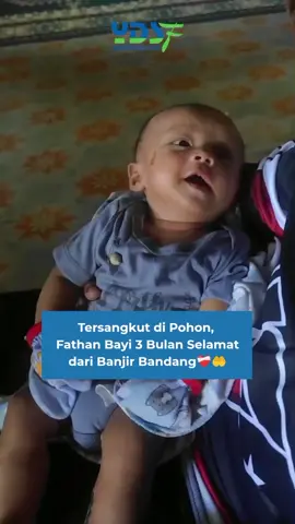 Fathan, 3 bulan Selamat dari banjir bandang, namun kehilangan keluarganya. Di tengah reruntuhan dan derasnya arus, Fathan ditemukan tersangkut di pohon. Mari kirimkan doa terbaik untuk Fathan. Semoga Fathan diberikan kesehatan, Aamiin ya rabb🤲😇 📩Salurkan kebaikanmu melalui: donasi.ydsfpeduli.org/campaign/peduli-bencana-pulau-sumatra #ydsf #prayforsumatera #banjir #longsor #bayi