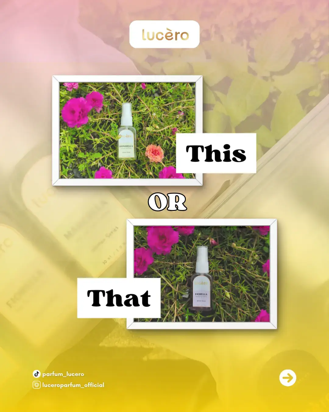 Mana parfum favorit kamu?? 👀 Spill di kolom komentar kamu pilih yang mana nih? #parfumviral #parfum #luceroparfum #viral #fyp 