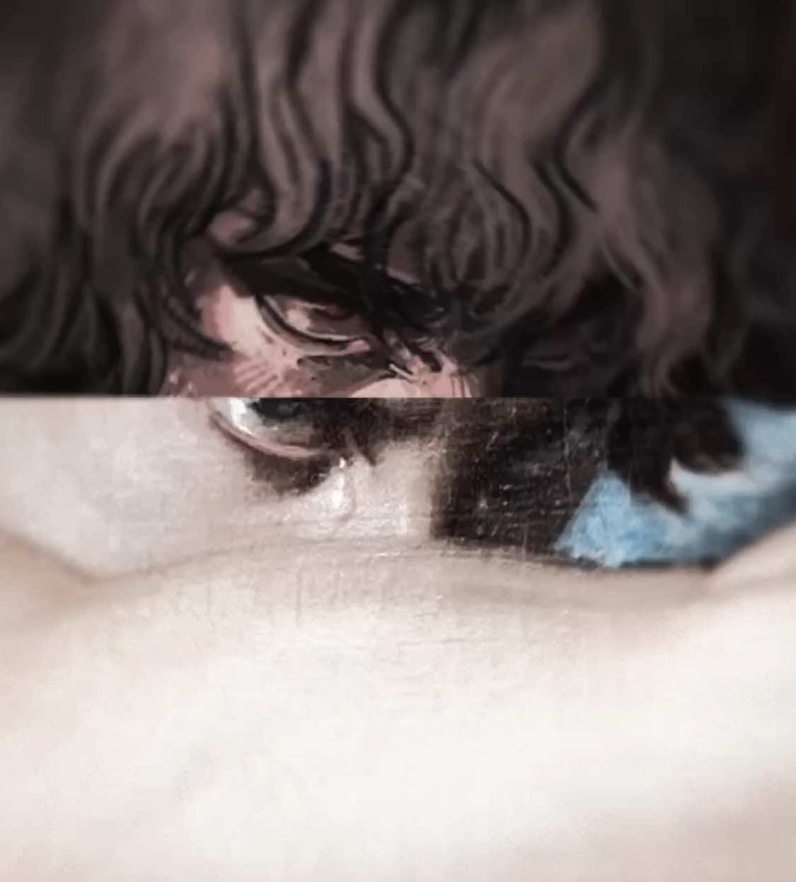 i sacrifice  - #griffith #griffithedit #berserk #berserkedit #explore 