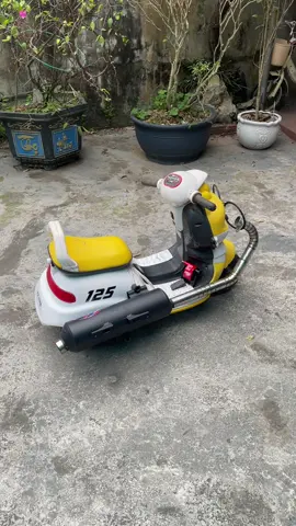 Mai chung kết đại nam ae để ý con này nhé #xhtiktok #xh 