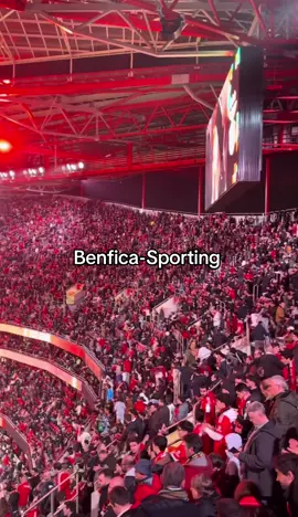 #benfica #portugal #portugal🇵🇹 #footballl #pourtoi 