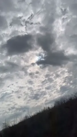 𝖨̇𝗇𝗌𝖺𝗇 𝖽𝖾𝗒𝖾𝗋𝗂𝗇𝗂 𝖻𝗂𝗅𝖾𝗇𝗅𝖾𝗋𝗅𝖾 𝗒𝗈𝗅𝖺 𝖺𝗅𝖺𝗋…