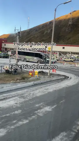 Bueno según ellos 🤭 #felizdiadelminero👷 