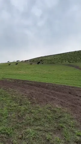 #спирит #свобода #природа #красота 