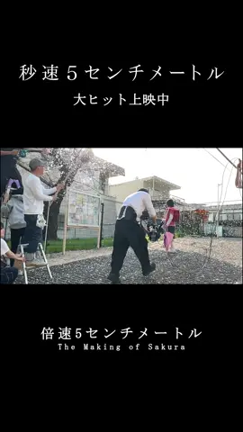 『#秒速5センチメートル』 ショートメイキングムービー 【倍速5センチメートル】 ≪The Making of Sakura≫ 大ヒット上映中