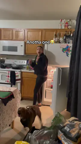 I scared him 😅#dogsoftiktok #dog #cute #funny#foryourepage 