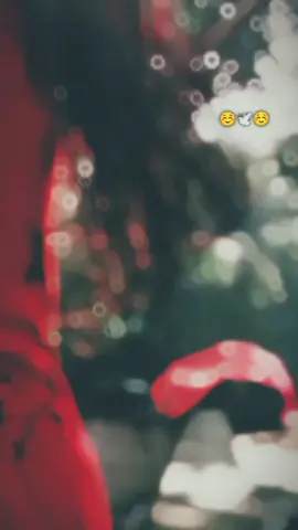 সবটুকু তোমায় দিয়েছিলাম ☺️☺️☺️#🌸🌸foryou 