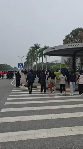 Tan làm Đi hội thôi nào🌼 #festival #sevt #samsung 