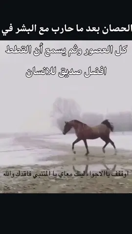 #trending #viral #الشعب_الصيني_ماله_حل😂😂 #fyp #المغرب🇲🇦تونس🇹🇳الجزائر🇩🇿 