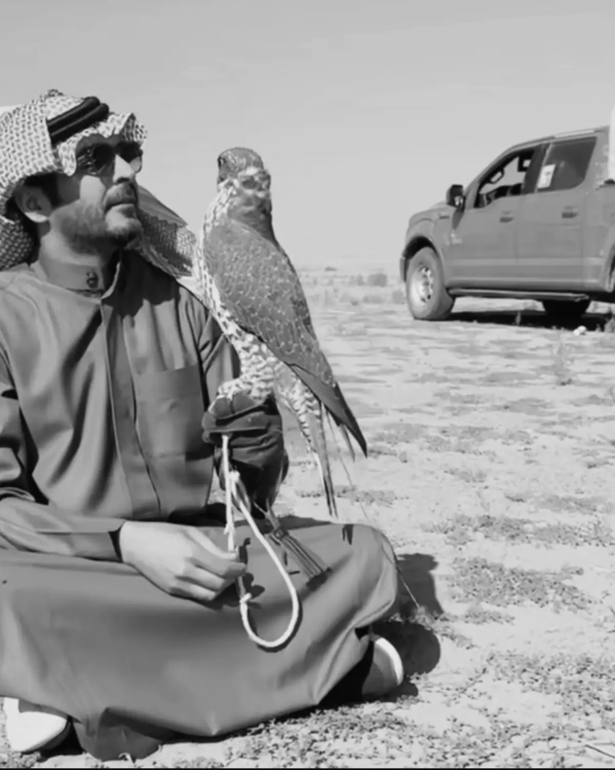 #ياسر_التويجري #explorepage #explore #صقر #عنزه 