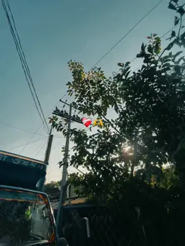 তুমি আমার প্রথম প্রেম,তুমি আমার সেস ভালেবাসা!❤️‍🩹#foryou #shuvo07446 #foryoupage #fypage @TikTok Bangladesh @TikTok 