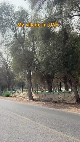 #foryoupage #moreviews #manarmall_rak_uae #talabatrak 