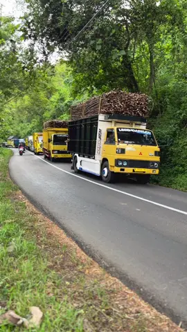 Budal PG medan😭🤣 #legendarisCo #gallihsallepo_ 