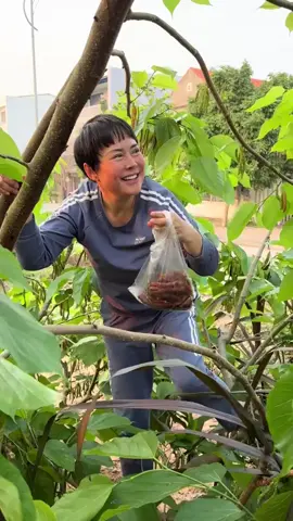 Chúng mày hếch ci#ái tai lên mà nghe 🤣🤣# tao chỉ chơi bời nhưng không chết ai 😎