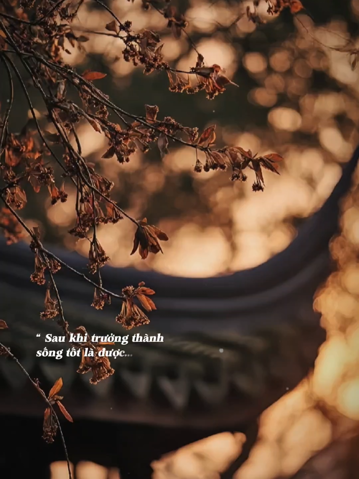 Ông xã về trễ miễn về là được... #nhachaymoingay #Bkmuzic 