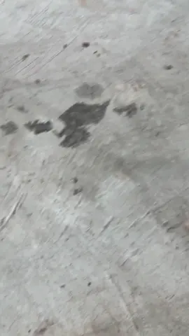 Exhaust by @A7 RACING STORE #mxking150 #vitnamstly🇻🇳 #y15zr #foryou 