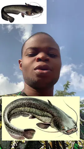 Très efficace #spirituality #tiktokbeninois🇧🇯 #poutoi #poutoi #boisson 