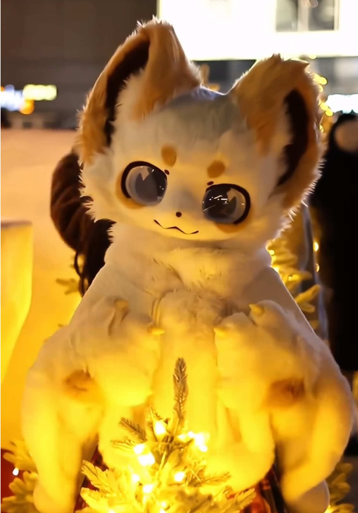 Amigotte Toto~ Meow~ “ Bilibili: 我未免太可愛了 “ #furry #cute #fur #fyp #fursuit 