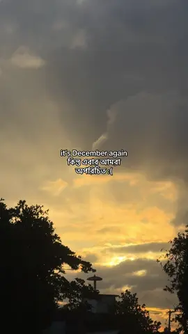 প্রিয়মুখ ? but where ?? #fyppppppppppppp #fyppppppppppppp @TikTok Creator Academy @TikTok Bangladesh 