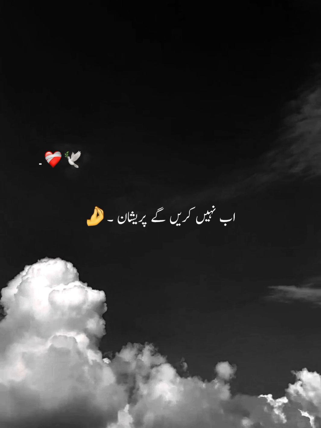 اب نہیں کریں گے پریشان ❤️‍🩹🕊️#1millionaudition #aesthetic #foryou #poetrystatus #foryoupage 