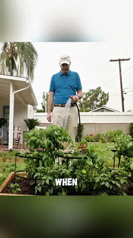 Zootopia 2 in theaters now! #zootopia2 #nickwilde #movie #tikyok #foryou