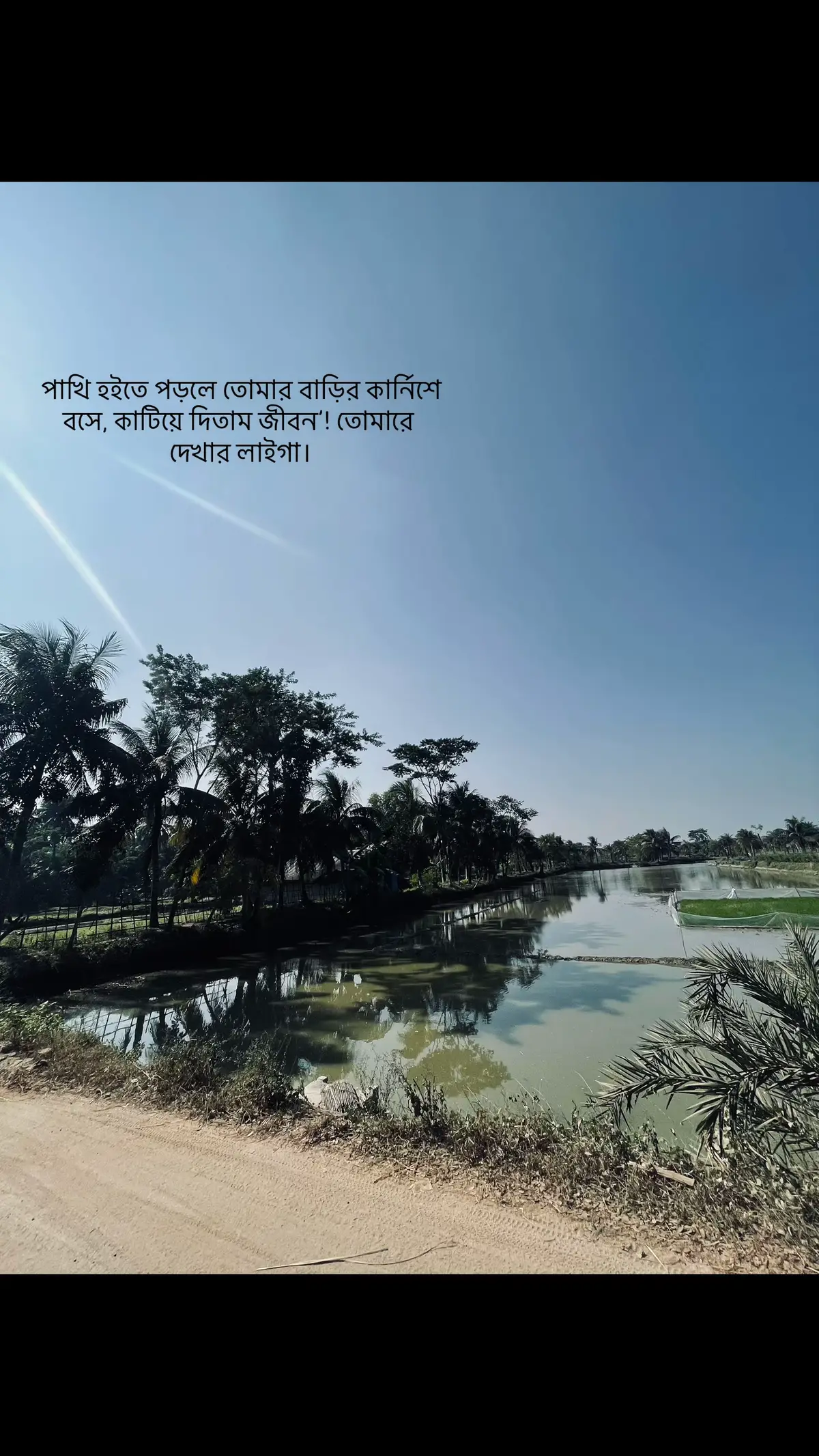 পাখি হইতে পড়লে তোমার বাড়ির কার্নিশে বসে, কাটিয়ে দিতাম জীবন’! তোমারে দেখার লাইগা।         .                      .                                 .                                  .                               Tag - #foryou #foryoupage #viral #fyp #unfrezzmyaccount