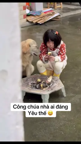 #xuhuongtiktok #fyp #giaitri #vuinhon #foryoupage 