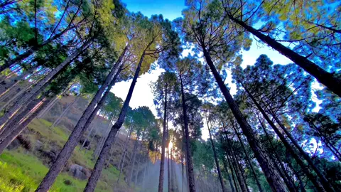 یہ دن اگر بُرے ہیں تو اچھے بھی آئیں گے.❤️‍🩹#dontunderreviewmyvideo #whattowatch #unfrezzmyaccount #moinsatti1 #fyp 