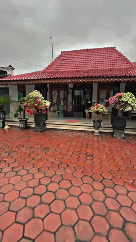 Pengiriman tanaman ke rumah juragan #Bougenville #Bougenvillejakarta #bougenvilletangerang #bougenvillesurabaya #bougenvillebekasi #bougenvilleponorogo #bougenvillebekasi #bougenvilleponorogo #bougenvillebandung #bougenvillebali #bougenvillejogja